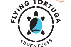 identity_FlyingTortuga_1-LL identity_FlyingTortuga_1-LL
