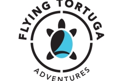 identity_FlyingTortuga_1