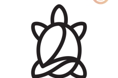 identity_FlyingTortuga_2-LL identity_FlyingTortuga_2-LL