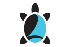 identity_FlyingTortuga_2