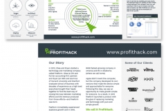 print_ProfitHack_2